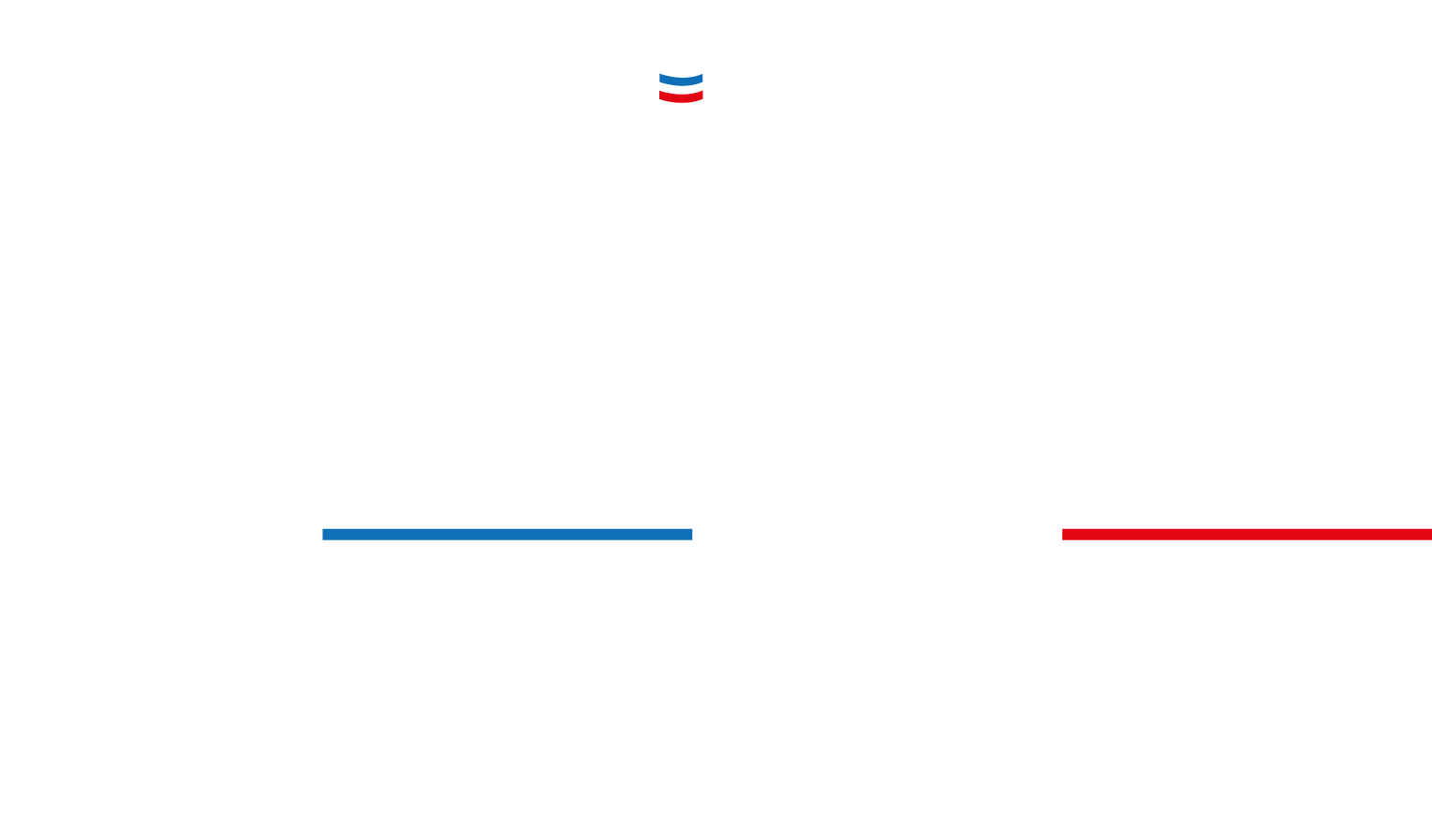 logo light